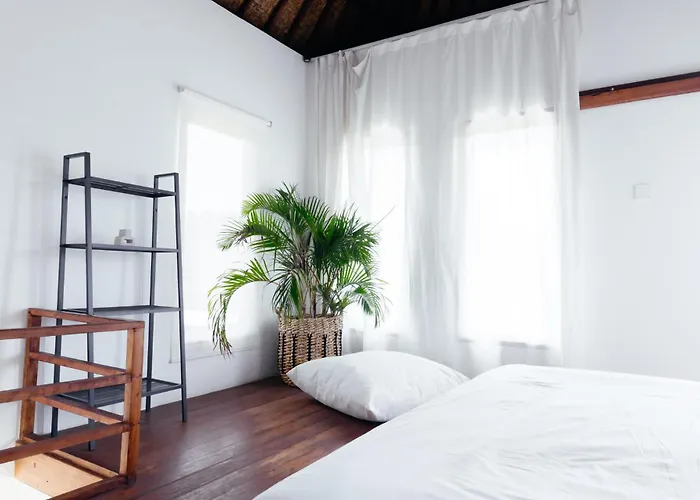 Hola & Lofts *